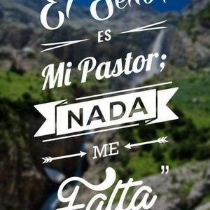 Meet your Posher, Josephine